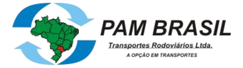 PAM BRASIL – Logotipo Fundo transparente